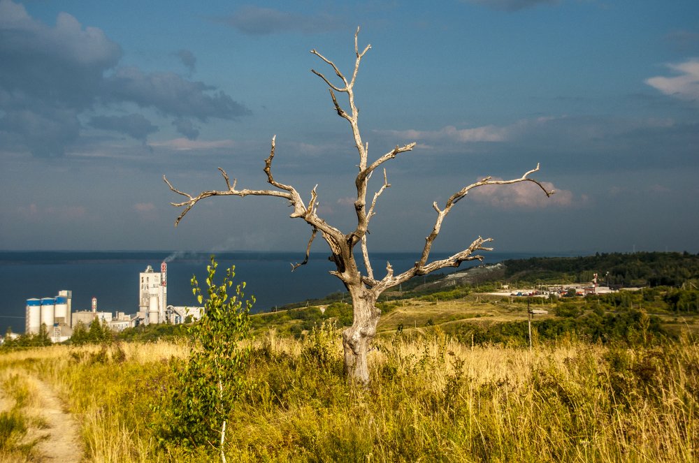 Photograph by Павел Хмелёв