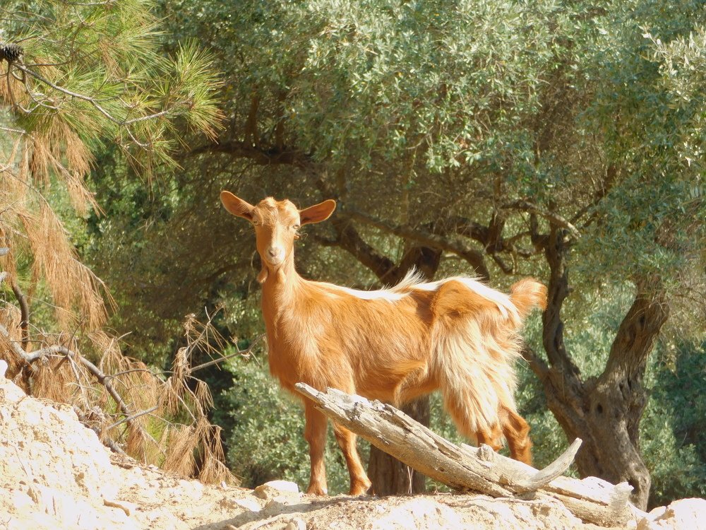 Photograph by Елена Грошева