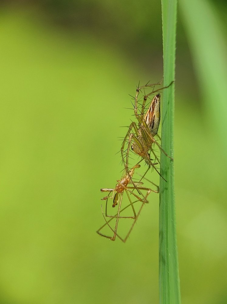 Photograph by Bistupada Mondal
