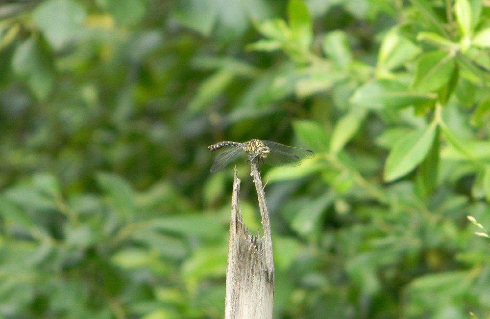 Photograph by Ольга Харламова