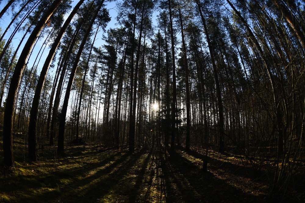 Photograph by Семен Батов