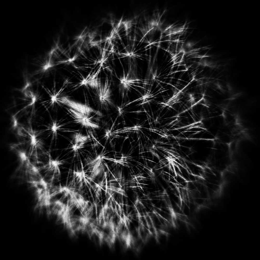 Photograph by Sharon Sabharwal