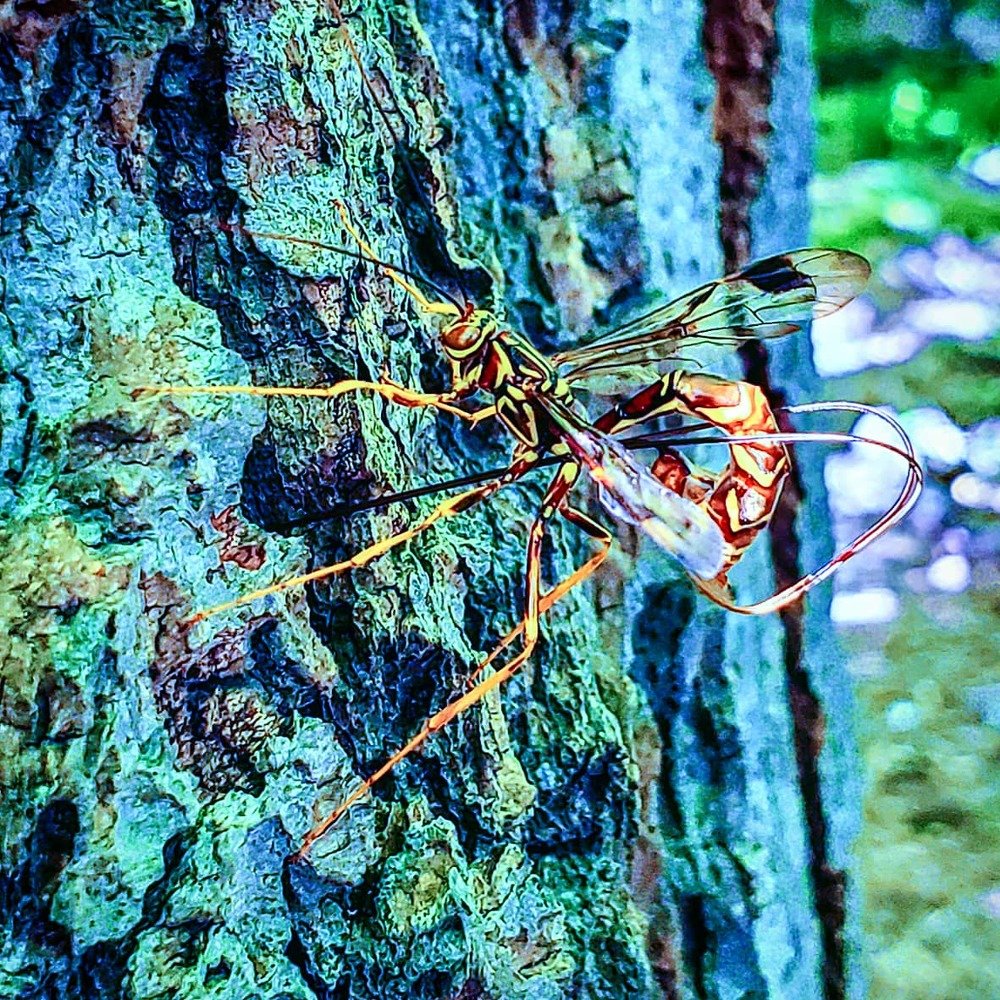 Photograph by Sharon Sabharwal