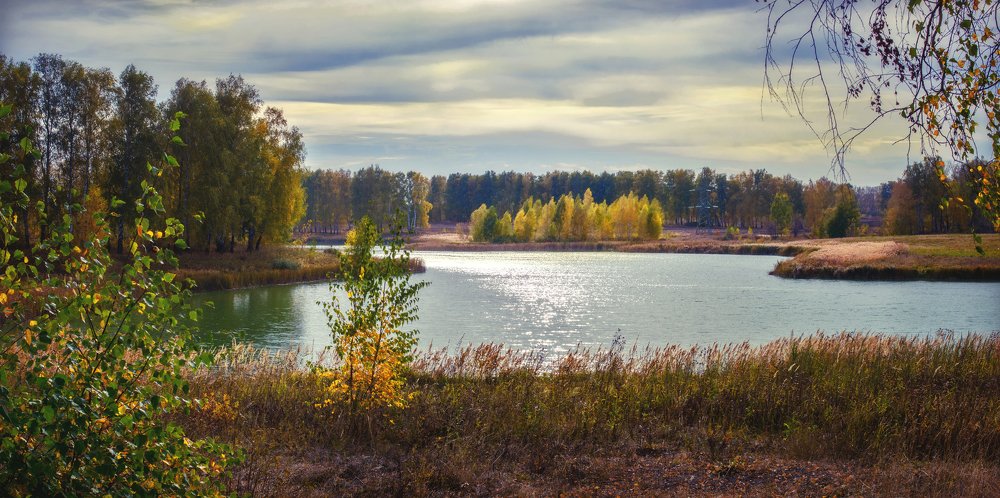 на сцене молодые берёзки