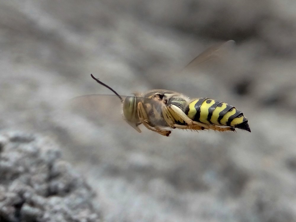 Photograph by Bambang Suryadi