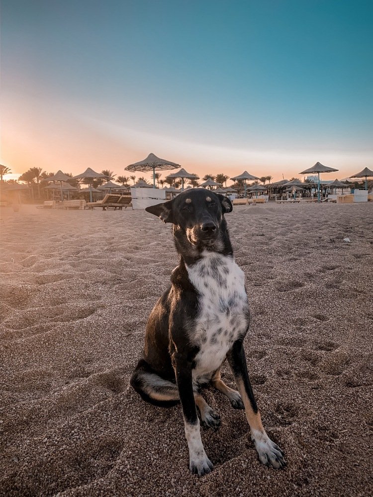 Photograph by Данила Богданов