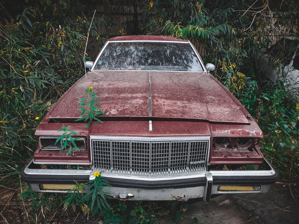 Из князей в грязи