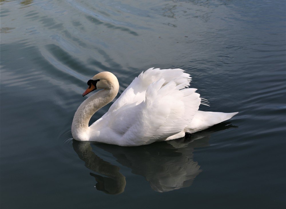 Photograph by Антонина Владимировна Завальнюк