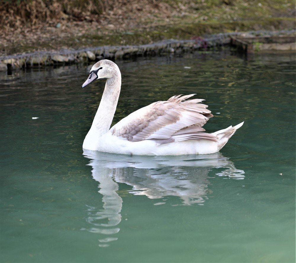 Photograph by Антонина Владимировна Завальнюк