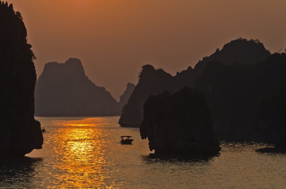 Photograph by 