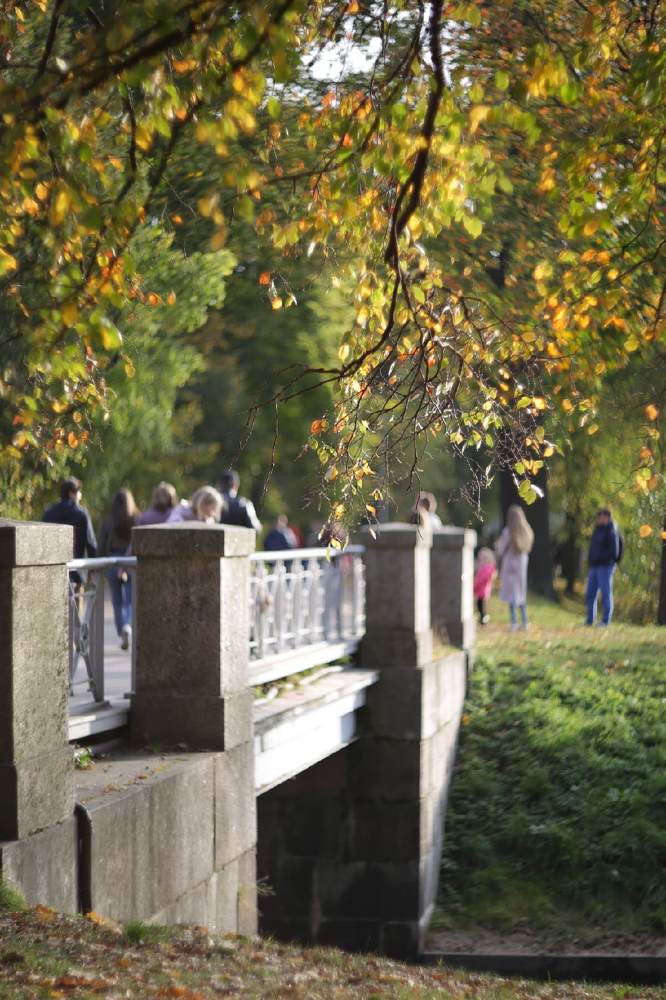 Октябрь на Крестовском острове.
