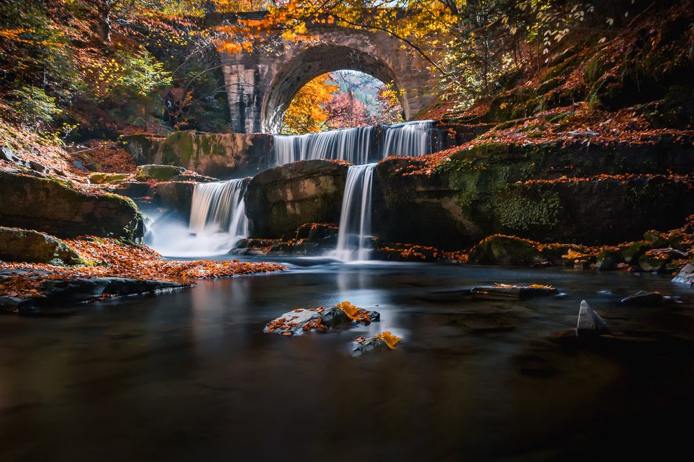 Photograph by Evgeni Fabis