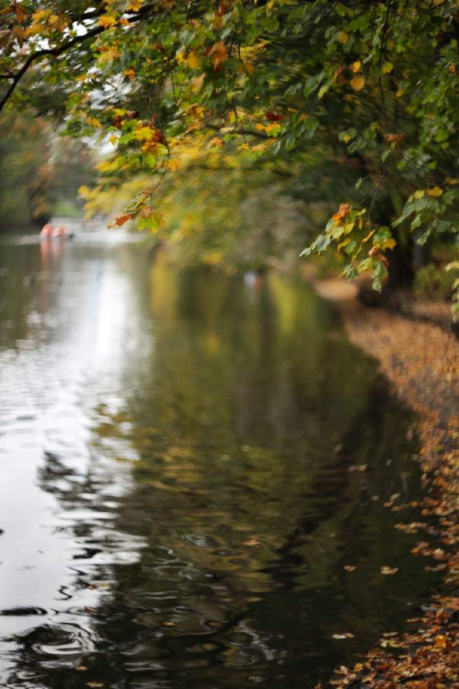 Октябрь на Крестовском острове.