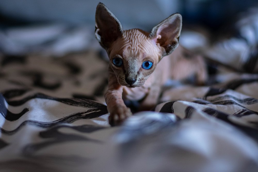 Photograph by Ксения Илюшина