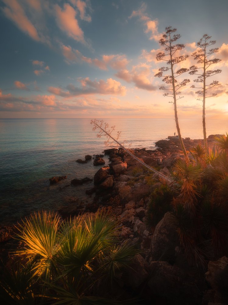 Photograph by Evgeni Fabis