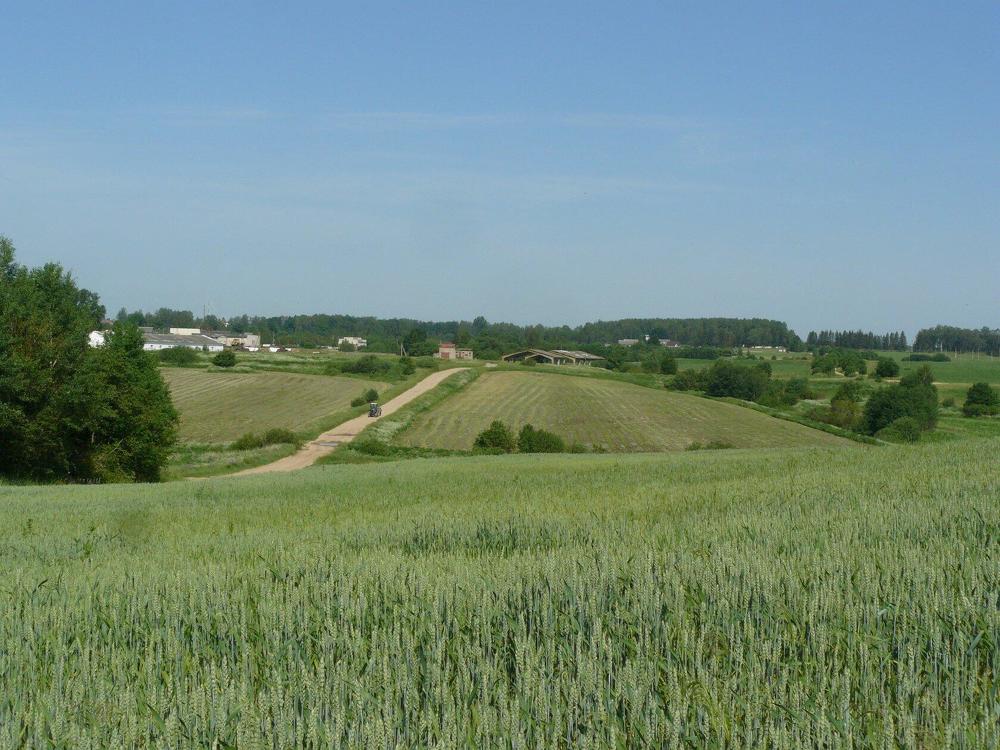 Photograph by Светлана Михайлова