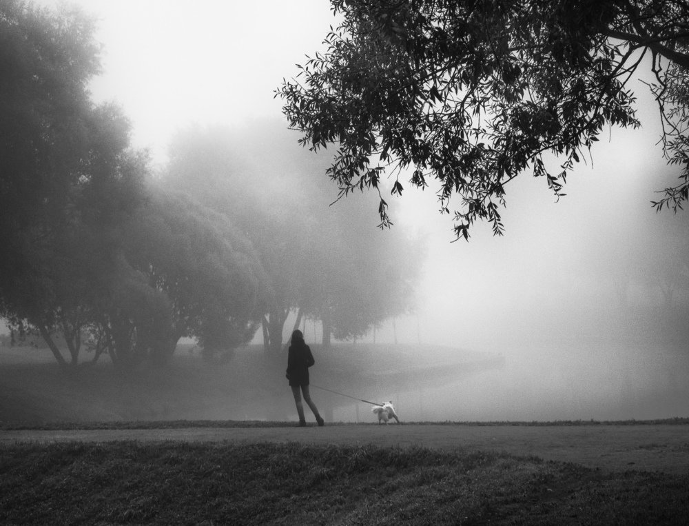 Дама с собачкой