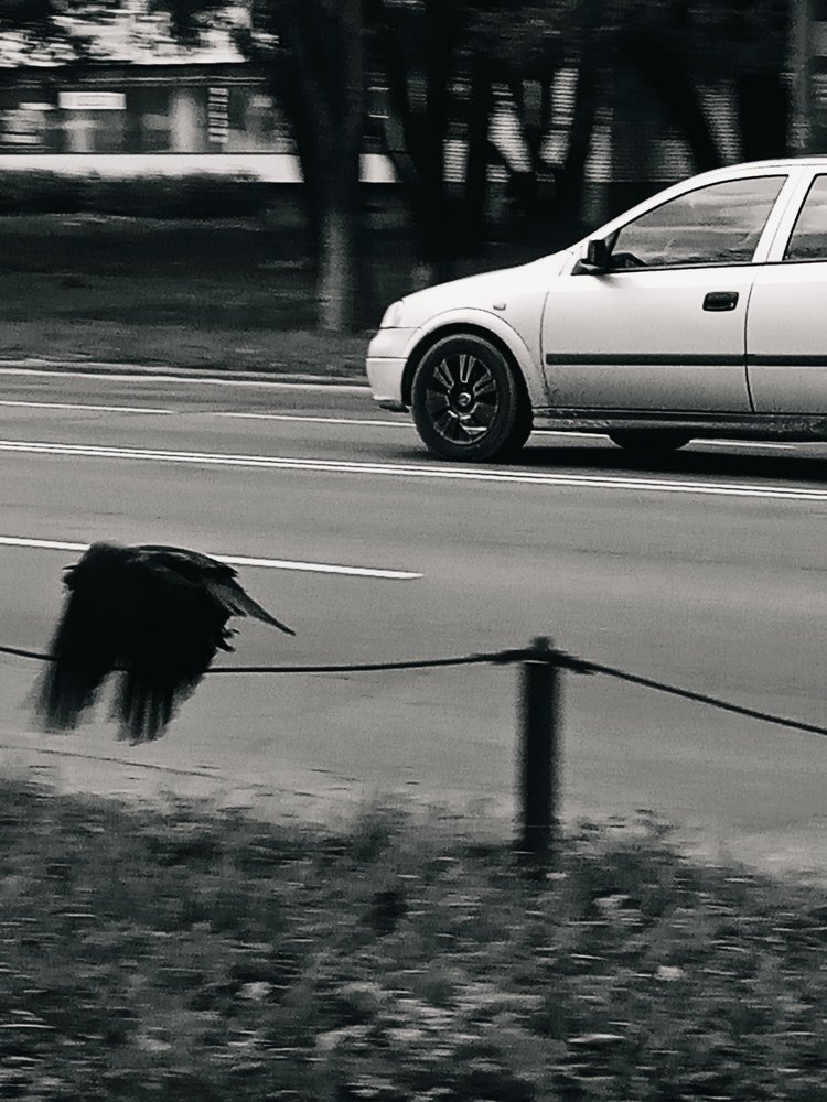 Photograph by Ланская Светлана