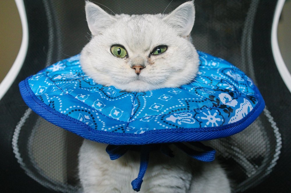 Photograph by Olesya Asbury