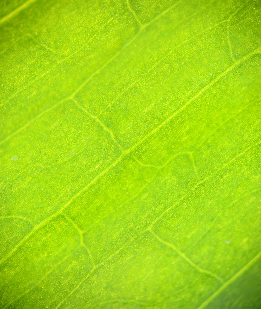 Photograph by Иван Волк