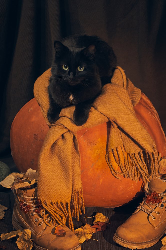 Photograph by Ирина Секачева