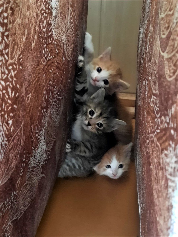 Photograph by Галина