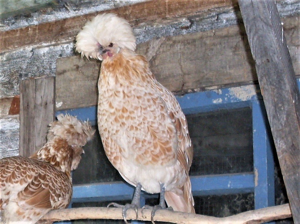 Photograph by Галина