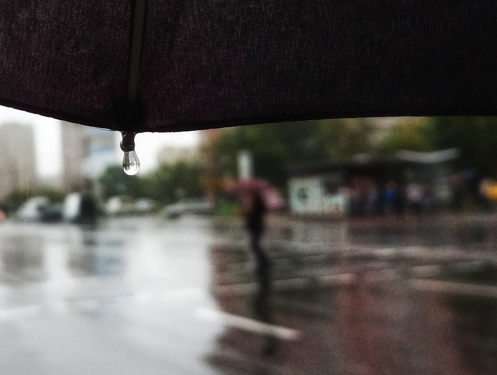 Photograph by Asia Amber