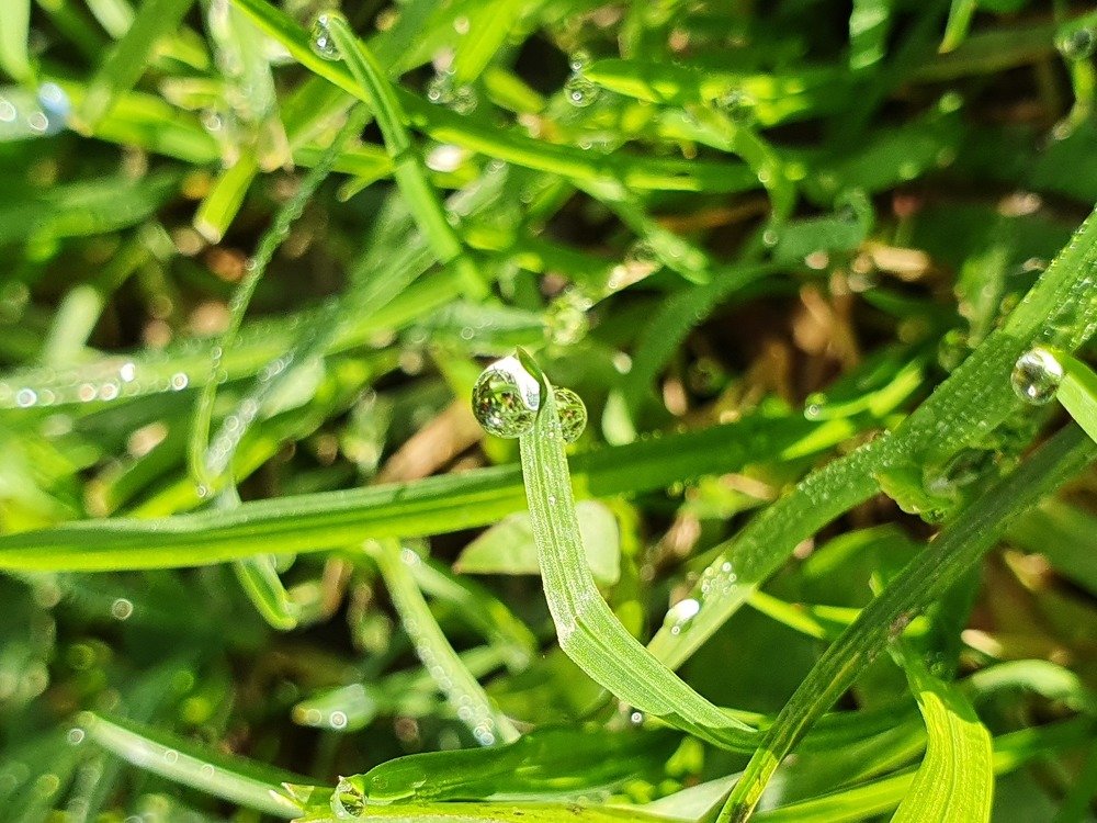 Photograph by Нина