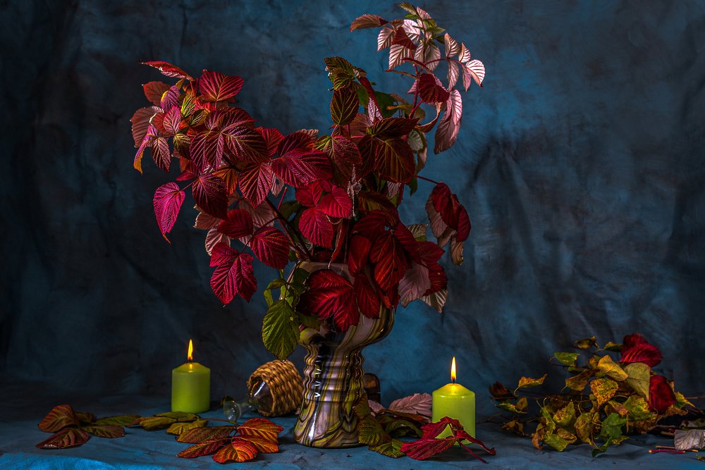 Photograph by Владимир Крышковец