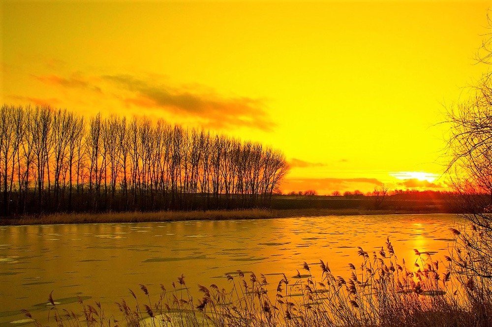 Photograph by Галина