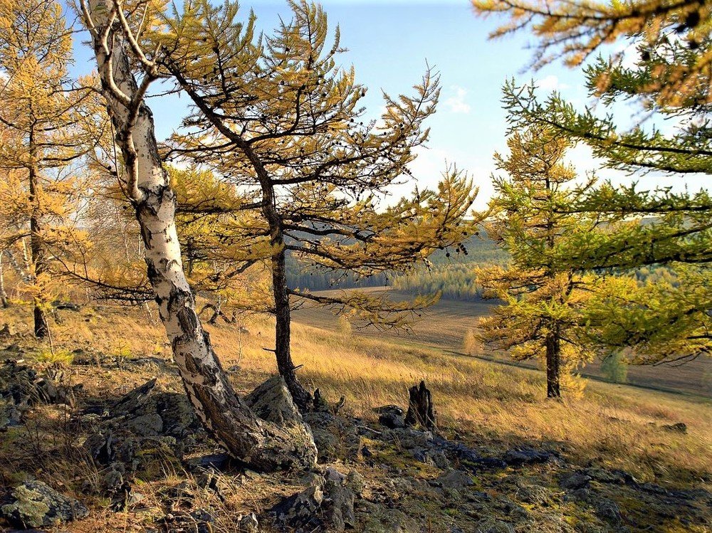 Photograph by Галина