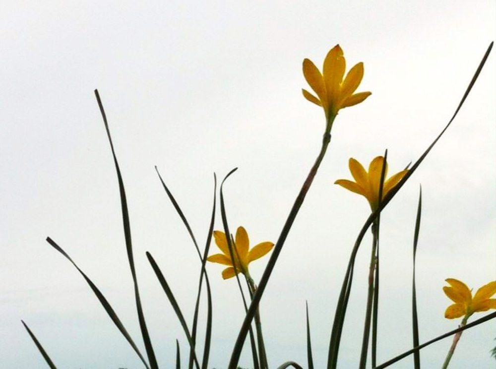 Photograph by Ahammed Shamim