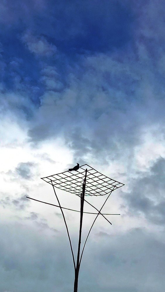 Photograph by Ahammed Shamim