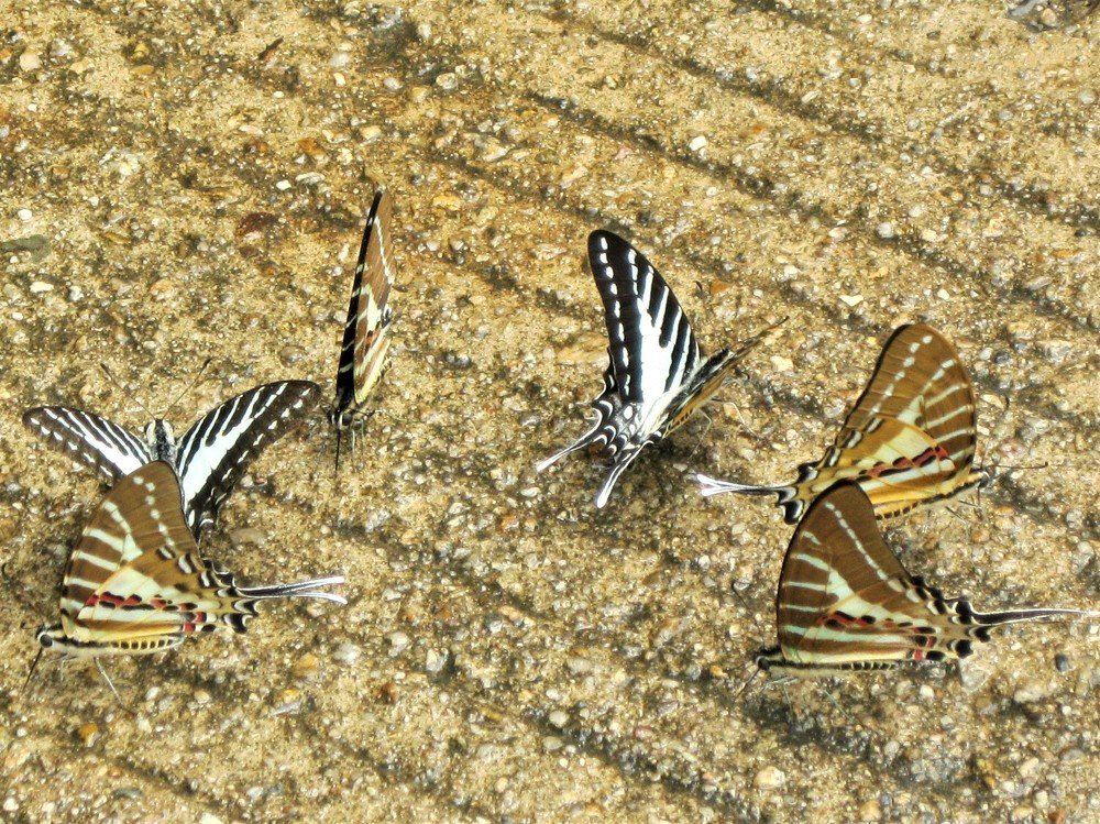 Photograph by Галина