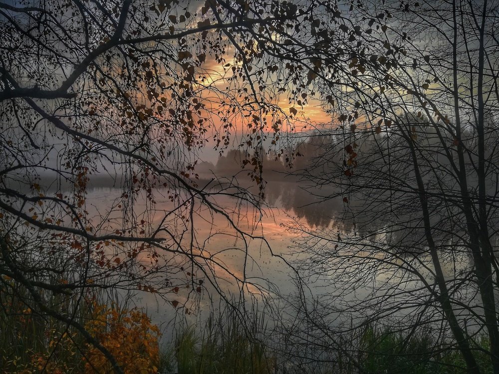 Photograph by Евгений Калагаев