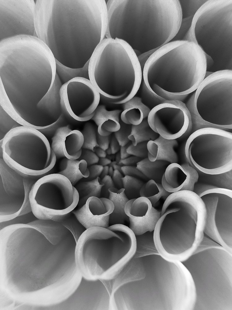 Photograph by Людмила Коныгина