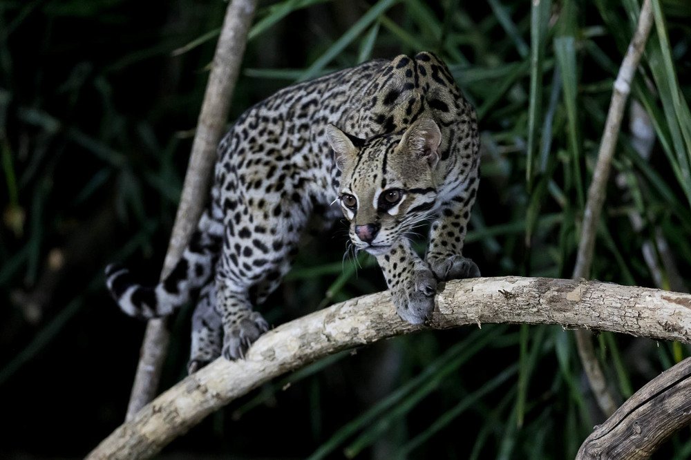 Photograph by Марина Маликова