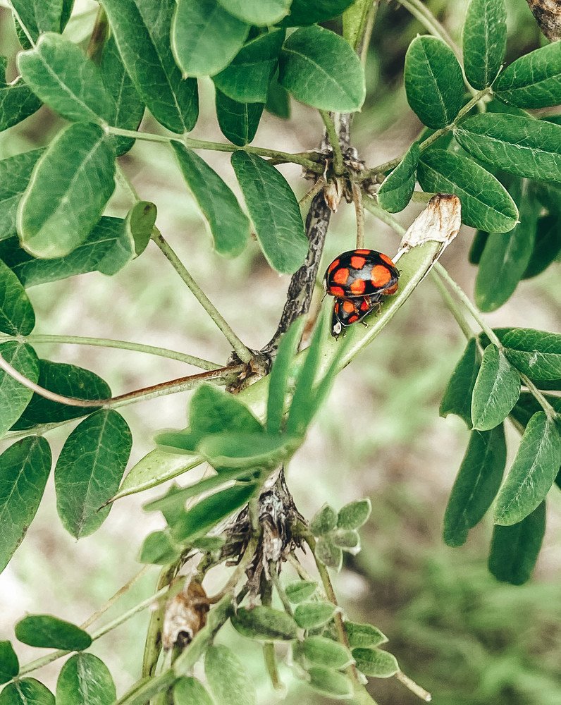 Photograph by Кристина