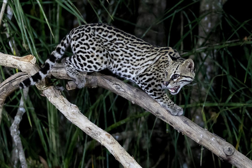 Photograph by Марина Маликова