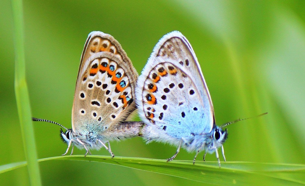 Photograph by Андрей Казанкин