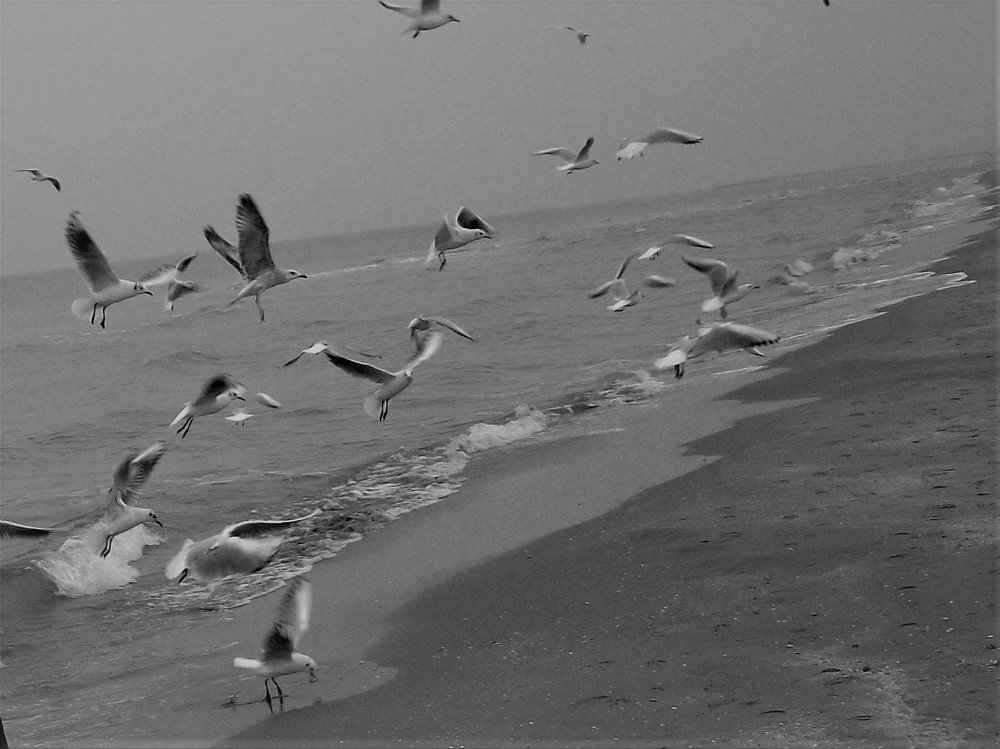 Photograph by Галина