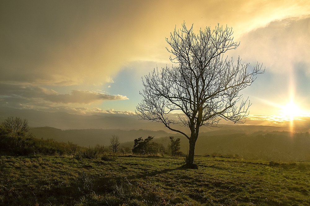 Photograph by Sandrine Gendre