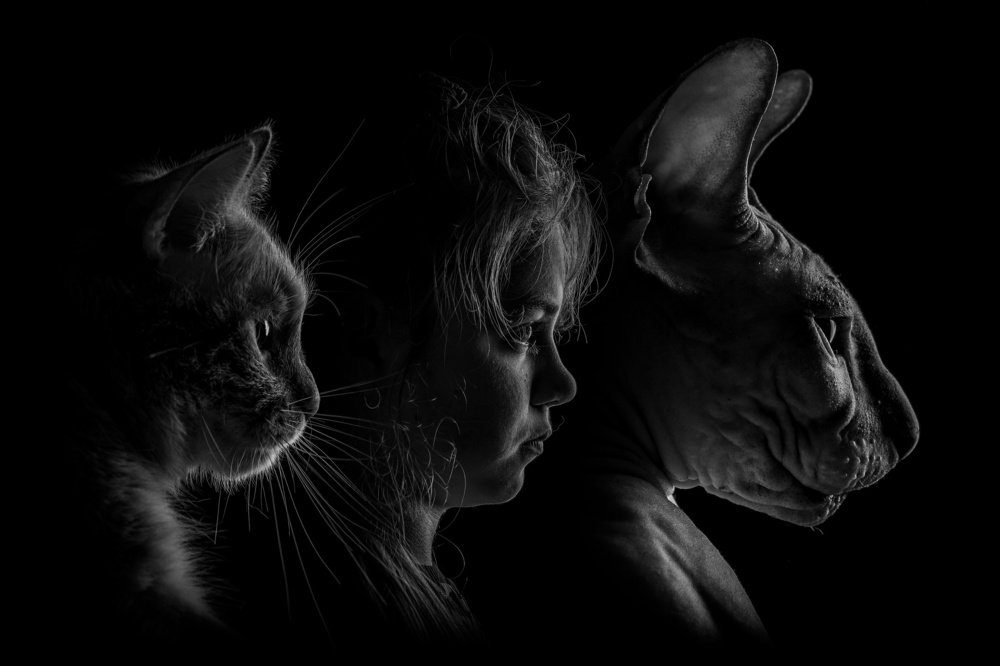 Photograph by Николай Сизиков