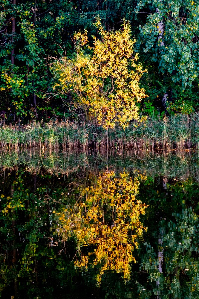 Photograph by Юлия Боровкова