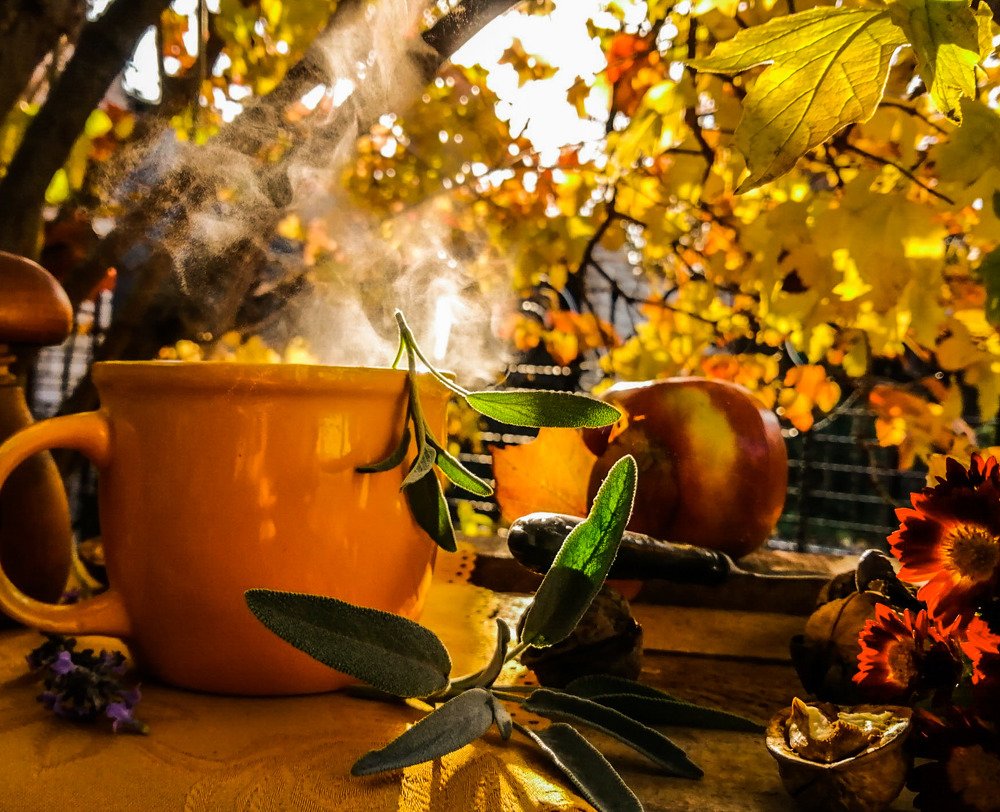 Тихое утро.