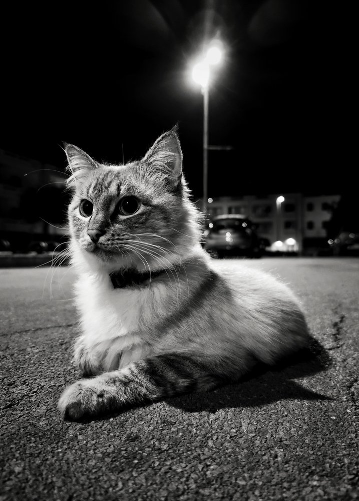 Photograph by Luigi Greco