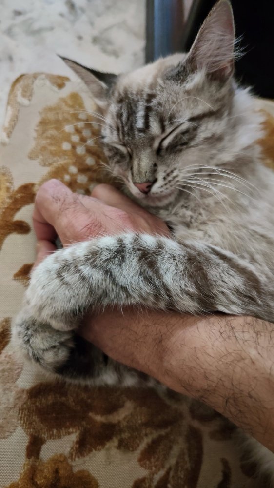 Photograph by Luigi Greco