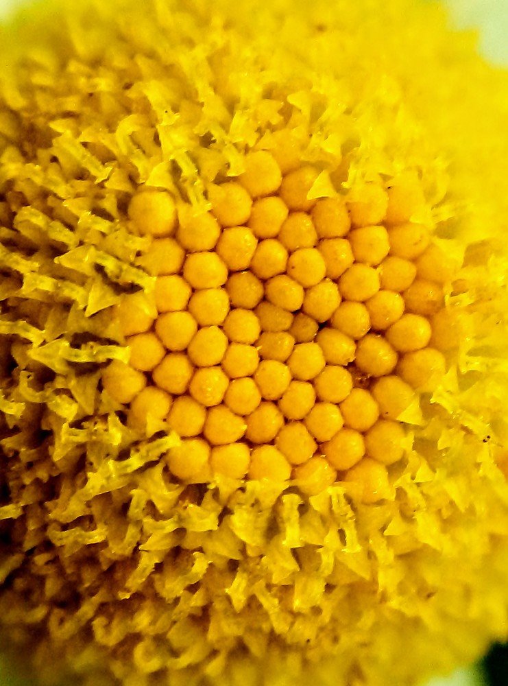 Photograph by Федоренко Элеонора