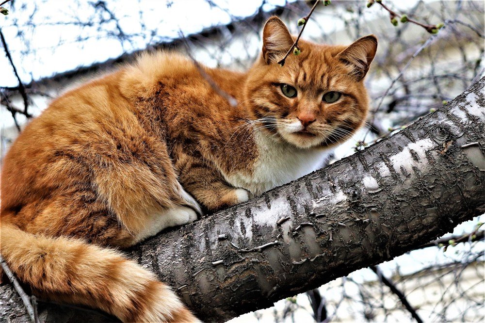 Photograph by Федоренко Элеонора